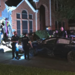Tesla drives through house